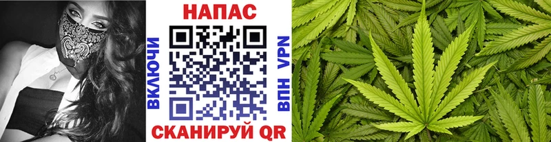 Сколько стоит Алапаевск Галлюциногенные грибы  МДМА  АМФ  Канабис  Alpha PVP  ГАШИШ 