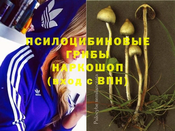 mix Абинск