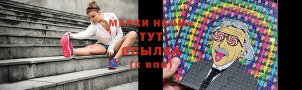 ALPHA PVP Ростов