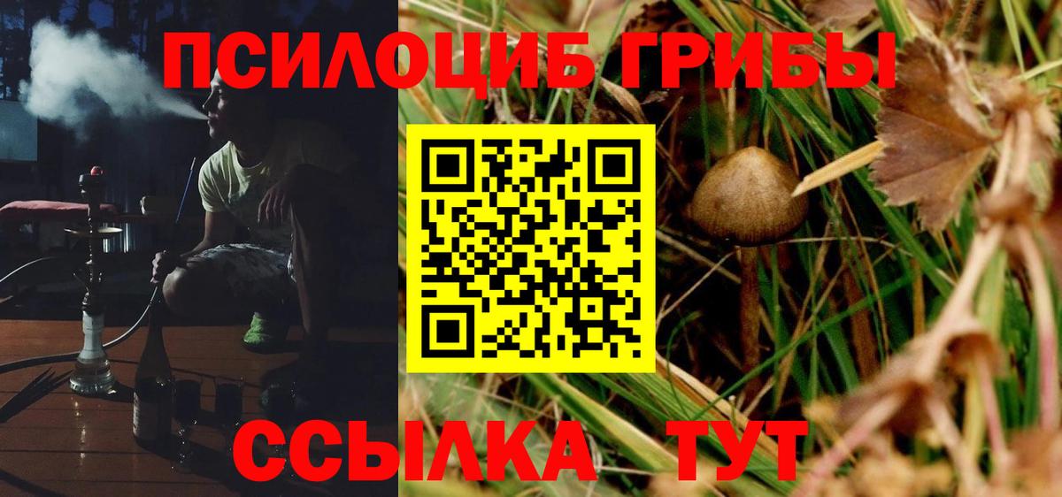 Галлюциногенные грибы Magic Shrooms  Псилоцибиновые грибы MAGIC MUSHROOMS  Алапаевск  цены   Вход с VPN 