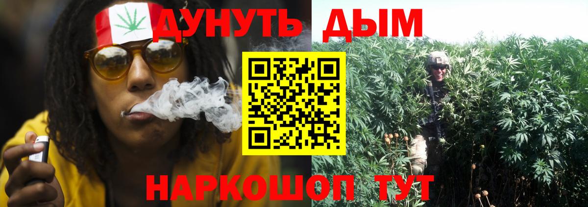 Бошки марихуана Amnesia  Бошки Шишки марихуана  Вход с VPN  Канабис планчик  Шишки марихуана гибрид  Алапаевск 